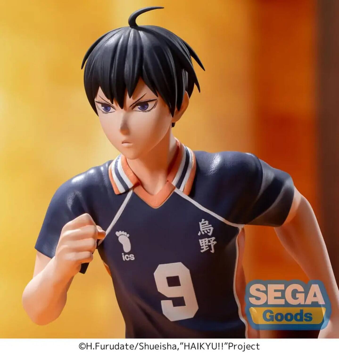 ©H.Furudate/Shueisha, "HAIKYU!!" Project  
SEGA Goods  
ics 9