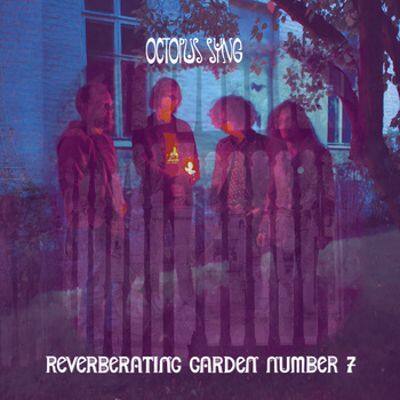 

Reverberating Garden No. 7 [LP] - VINYL