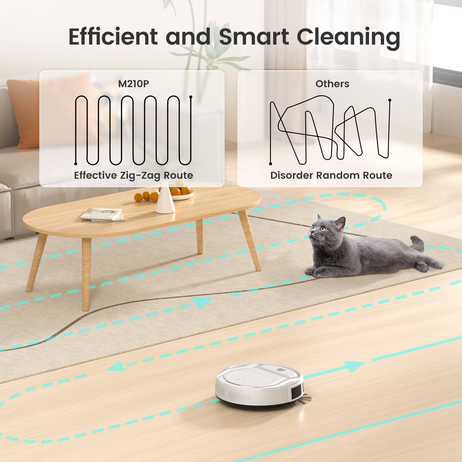 Efficient and Smart Cleaning

M210P
Effective Zig-Zag Route

Others
Disorder Random Route