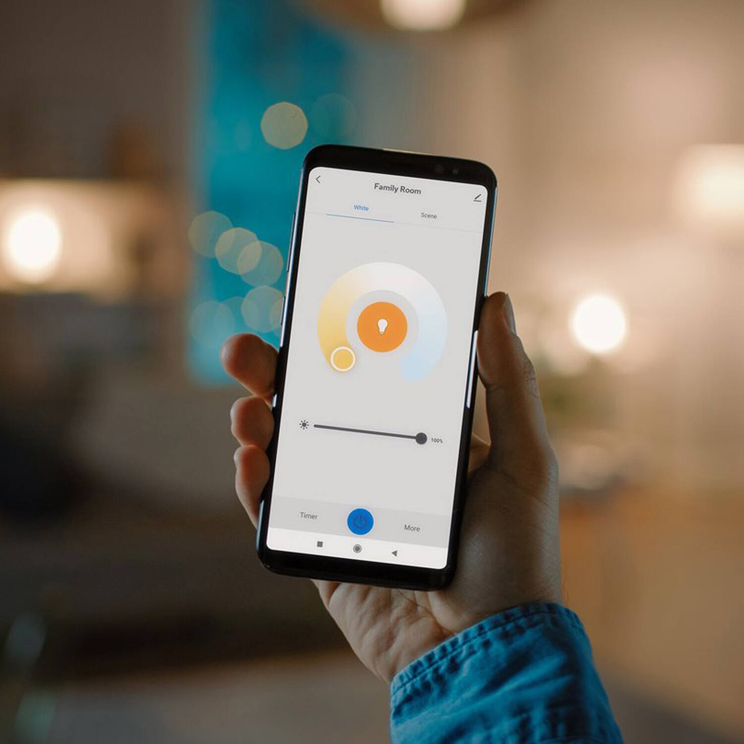 Family Room  
White  
Scene  
Timer  
More