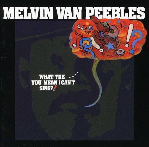 MELVIN VAN PEEBLES

WHAT THE ... YOU MEAN I CAN'T SING?!