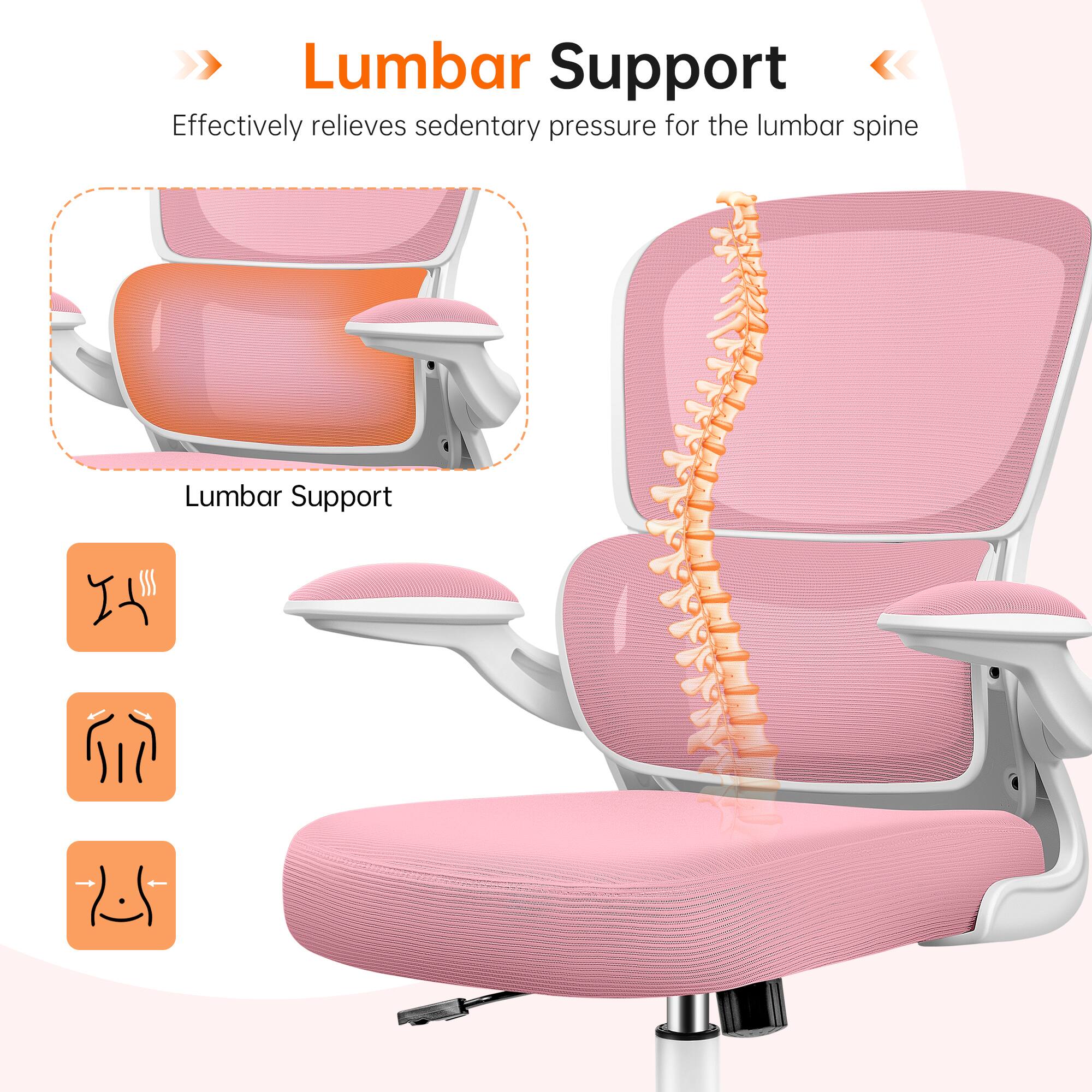 Lumbar Support  
Effectively relieves sedentary pressure for the lumbar spine