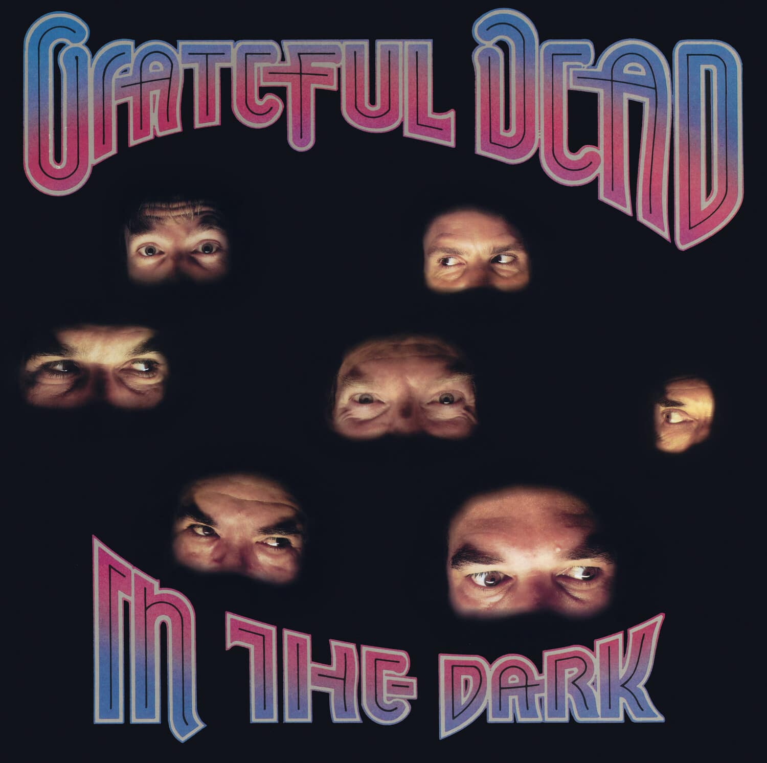 Grateful Dead - In The Dark  - VINYL LP