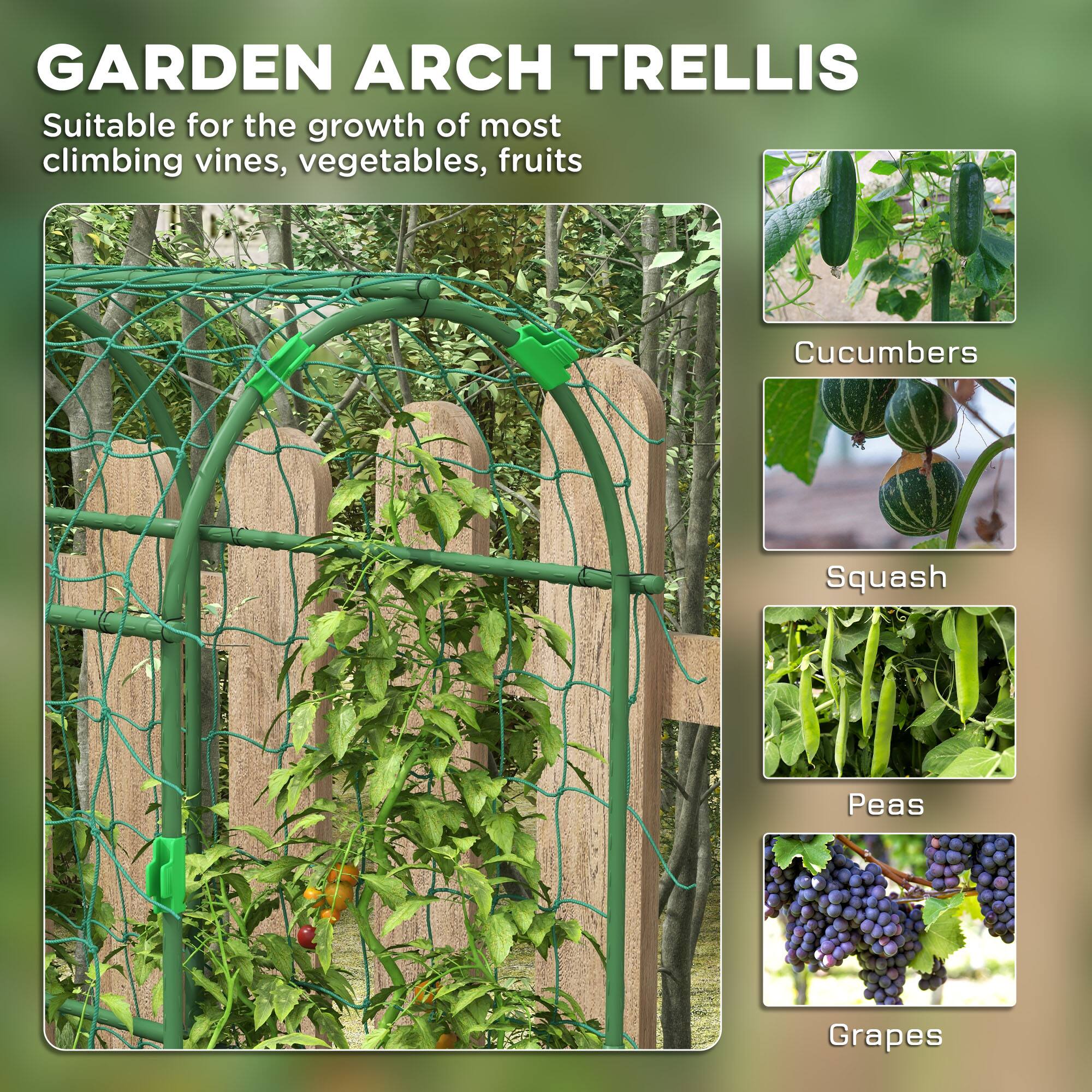 GARDEN ARCH TRELLIS

Suitable for the growth of most climbing vines, vegetables, fruits

- Cucumbers
- Squash
- Peas
- Grapes