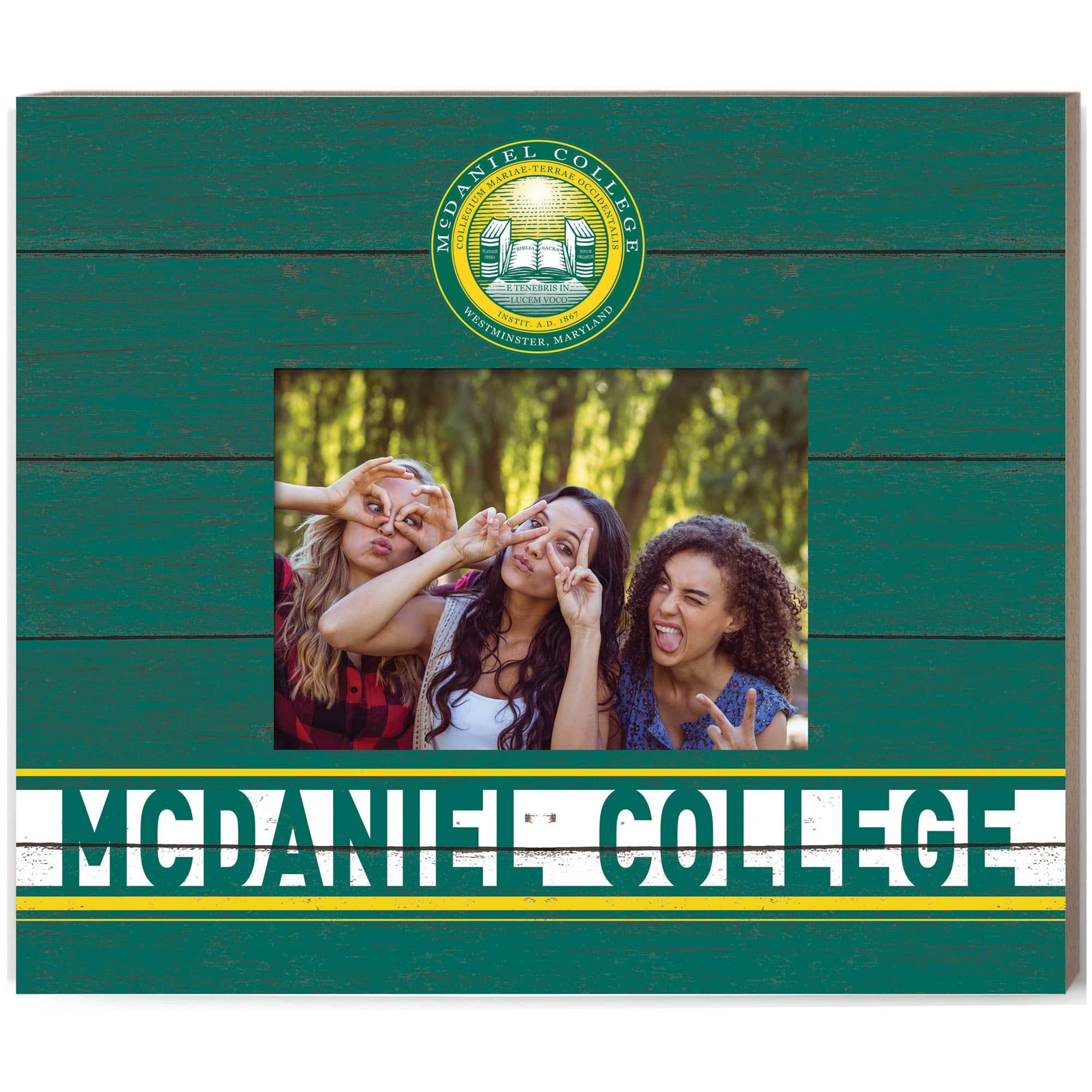 "Jardine - McDaniel Terror 11"" x 13"" Team Spirit Scholastic Picture Frame - Green" price history on PriceWatchPro