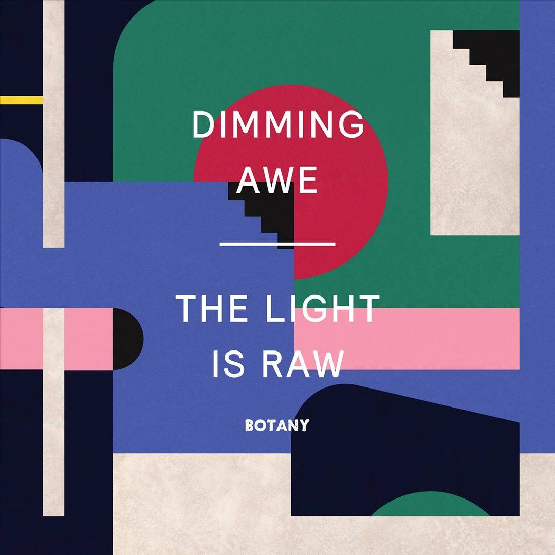 Front. Dimming Awe, the Light Is Raw [LP].