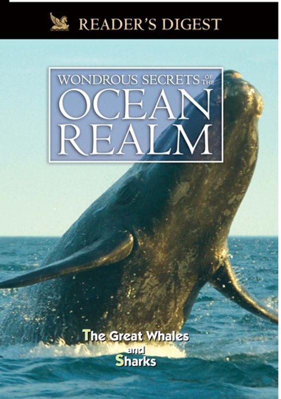 Best Buy: Wondrous Secrets of the Ocean Realm: The Great Whales ...