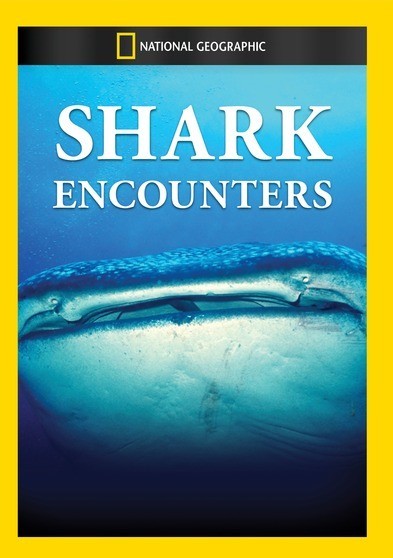 National Geographic: Shark Encounters [DVD] [1991] - Best Buy