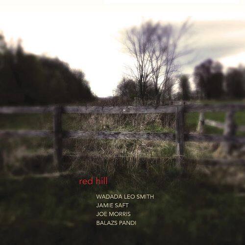 

Red Hill [LP] - VINYL