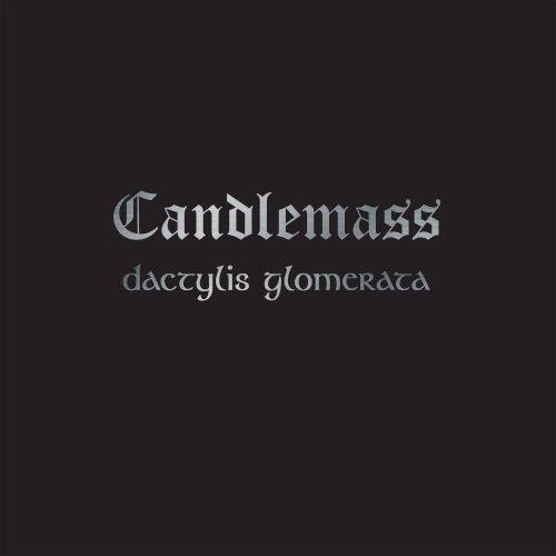 

Dactylis Glomerata [LP] - VINYL