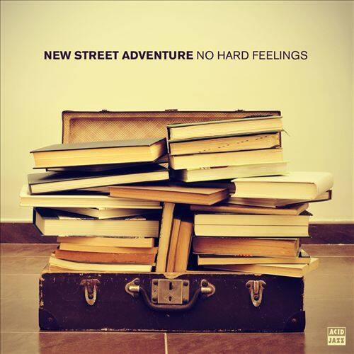 

No Hard Feelings [LP] - VINYL