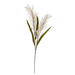 BreeBe - 30" Sorghum Harvest Artificial Flower (Set of 12) - Cream