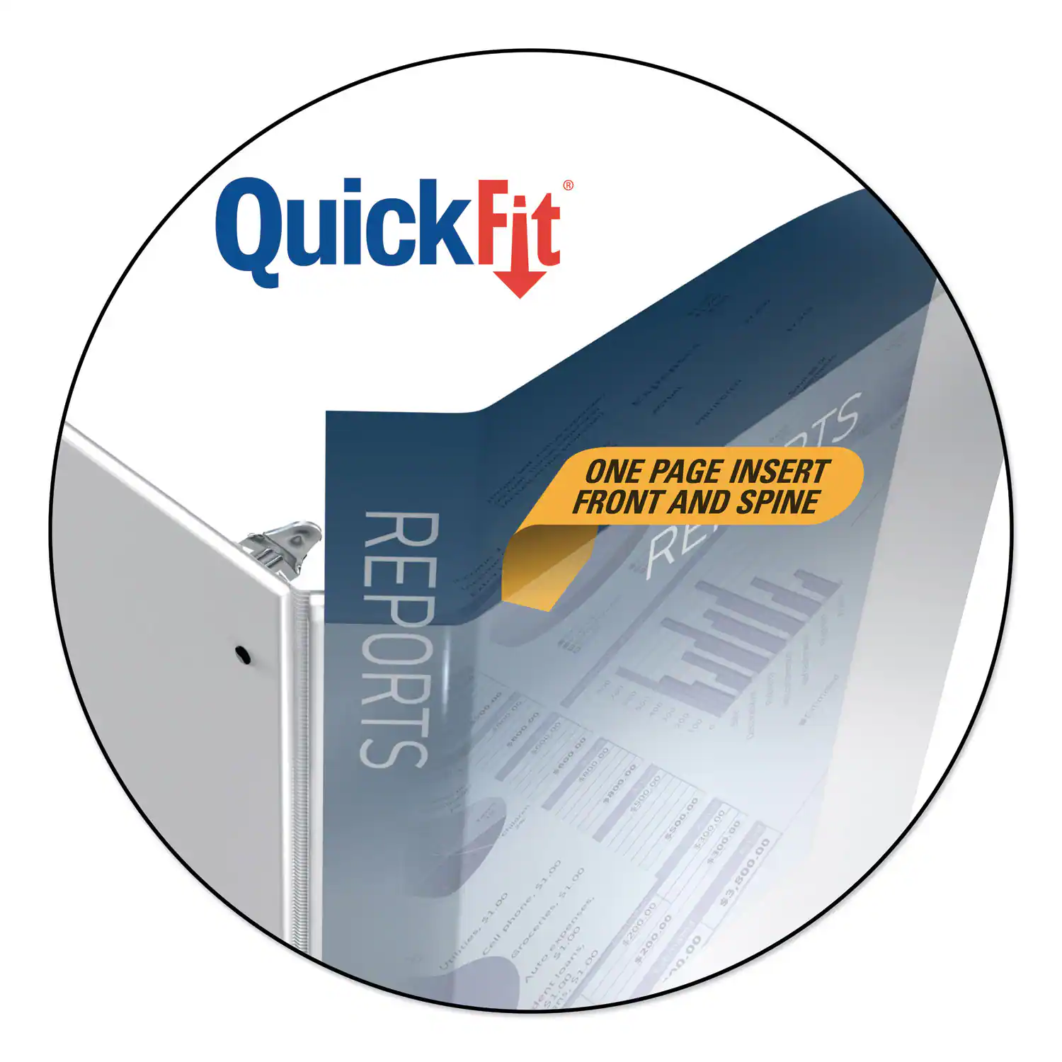 QuickFit Fit TS ONE PAGE INSERT FRONT AND SPINE REPORTS

- 2.2908 3000.00 $800.00
- SGOCS 3 $500.00
- 5.100 $300.00
- $3,800.00
- 201 $1.00
- ETTO on
- Groceries $200.00
- Upiisies conO