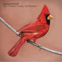 Old Crows/Young Cardinals [LP] - VINYL - Front_Original