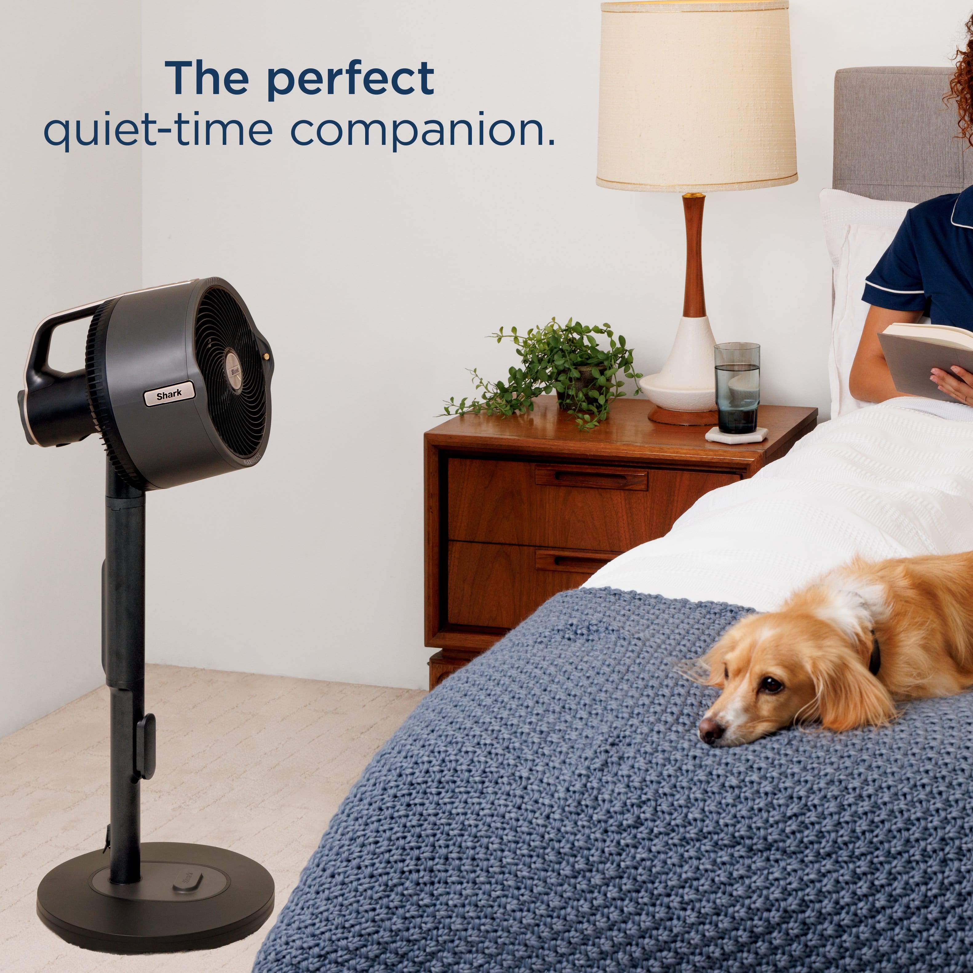 The perfect quiet-time companion. Shark.