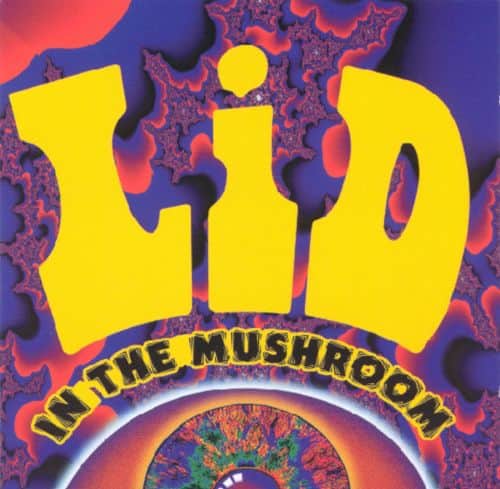 In the Mushroom [LP] - VINYL