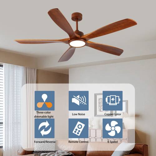 Three-color dimmable light  
Low Noise  
Copper Lotor  
Forward/Reverse  
Remote Control  
6 Speed