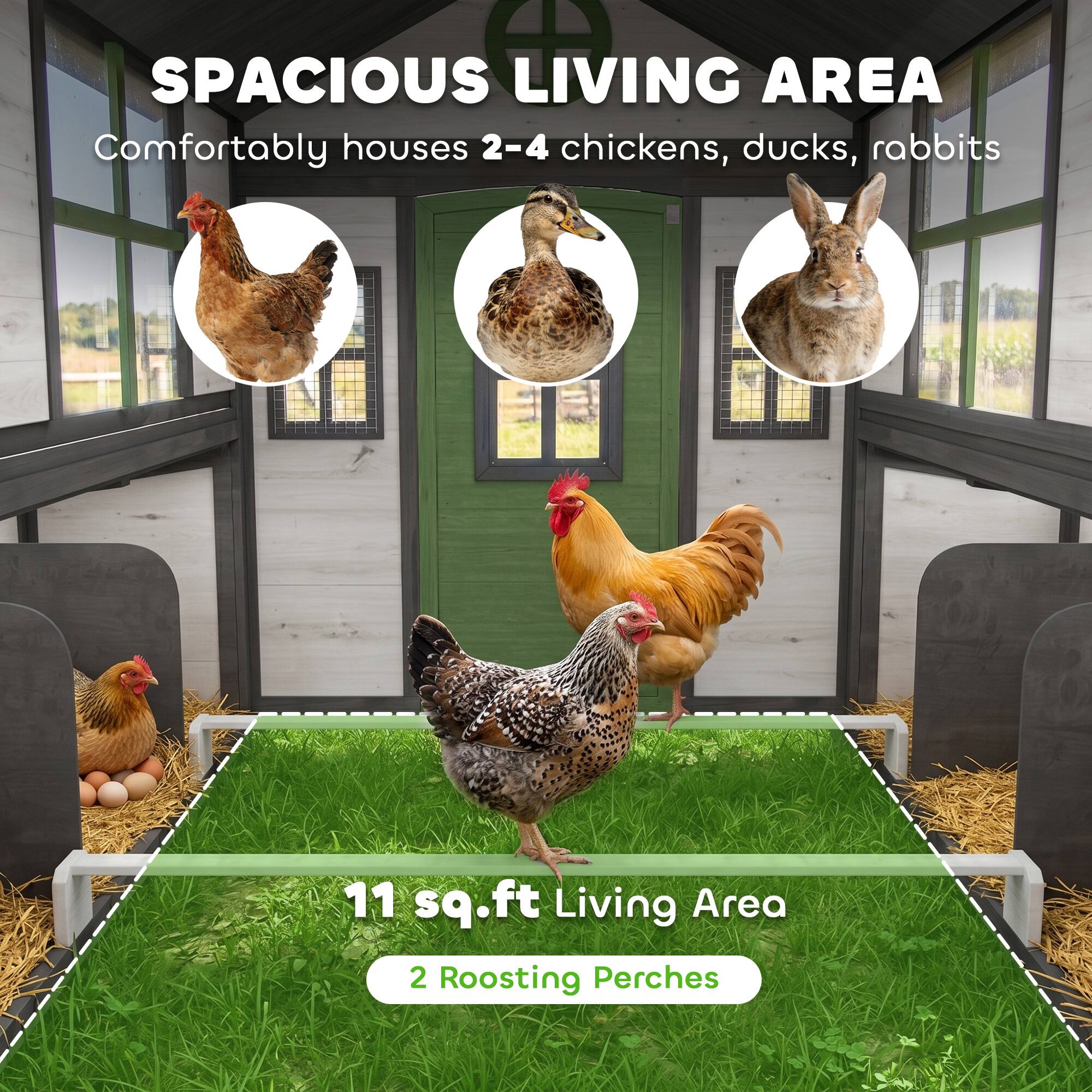 SPACIOUS LIVING AREA  
Comfortably houses 2-4 chickens, ducks, rabbits  

11 sq.ft Living Area  
2 Roosting Perches