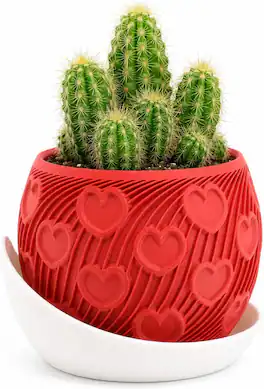 JuzToys - 3D Printed Heart Planter with Drip Tray, Small Indoor Plant Pot w/Saucer, Decorative Desk Shelf Decor Gift by PowerTRC - Red|White