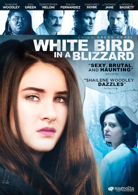 White Bird in a Blizzard [DVD] [2014]