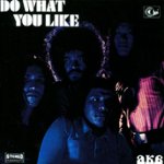 Front Standard. Do What You Like [CD].