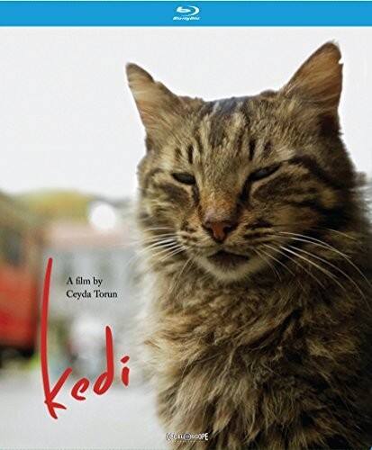 Front. Kedi   - BLU-RAY.