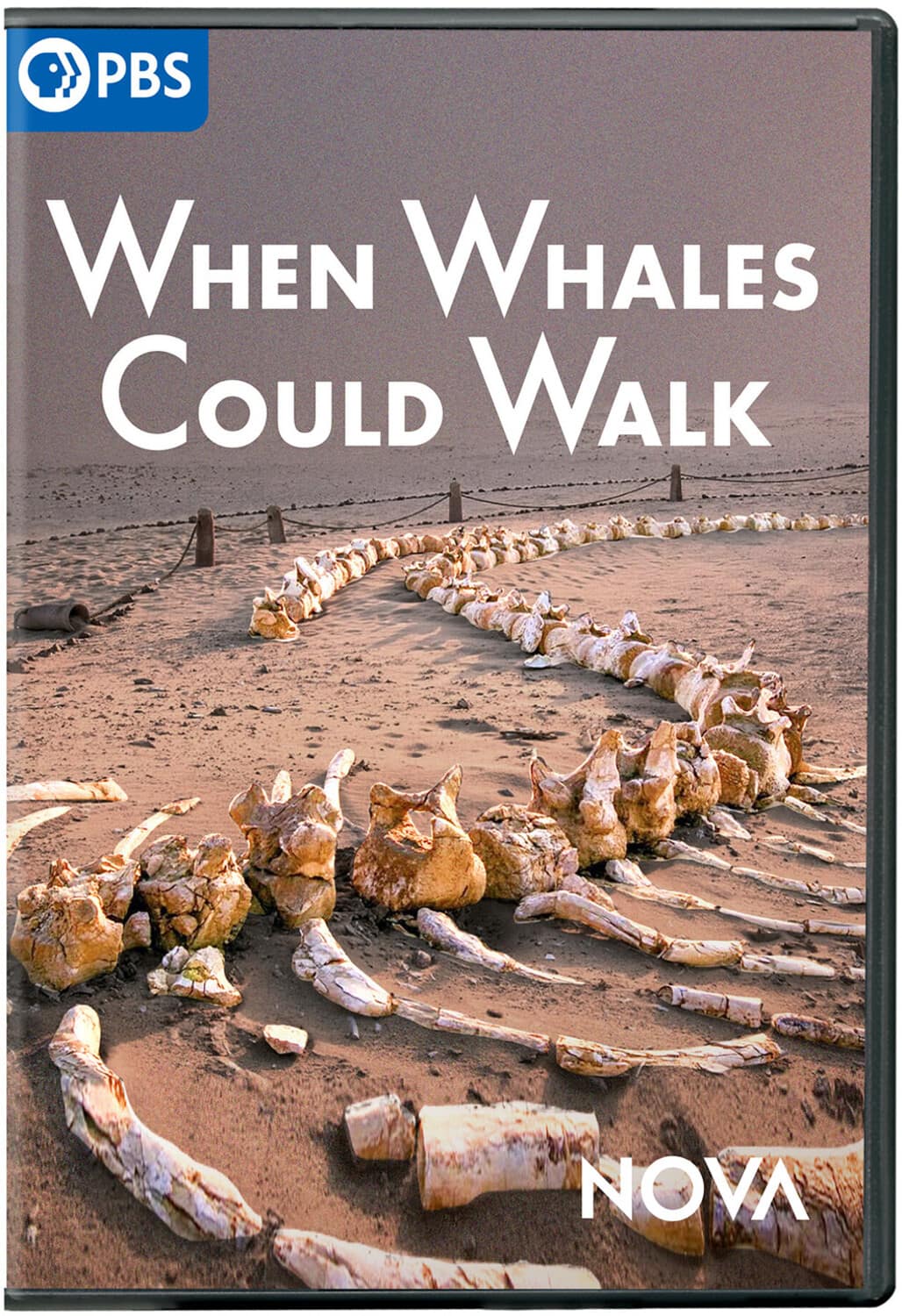 NOVA: When Whales Could Walk  - DVD