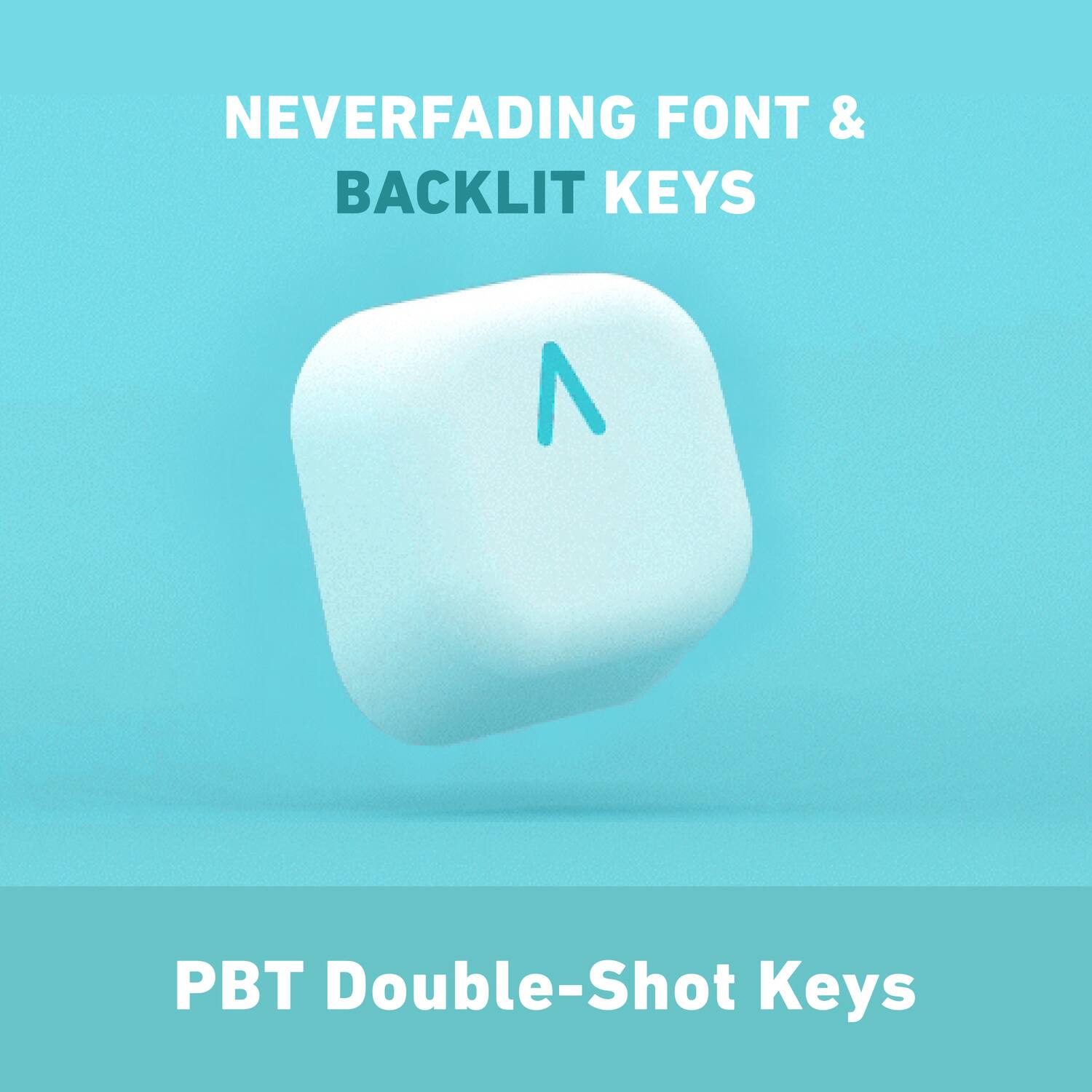 NEVERFADING FONT & BACKLIT KEYS

PBT Double-Shot Keys