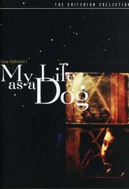 My Life as a Dog (Criterion Collection) - DVD