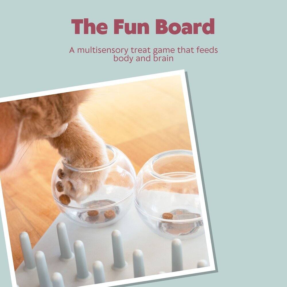 The Fun Board  
A multisensory treat game that feeds body and brain