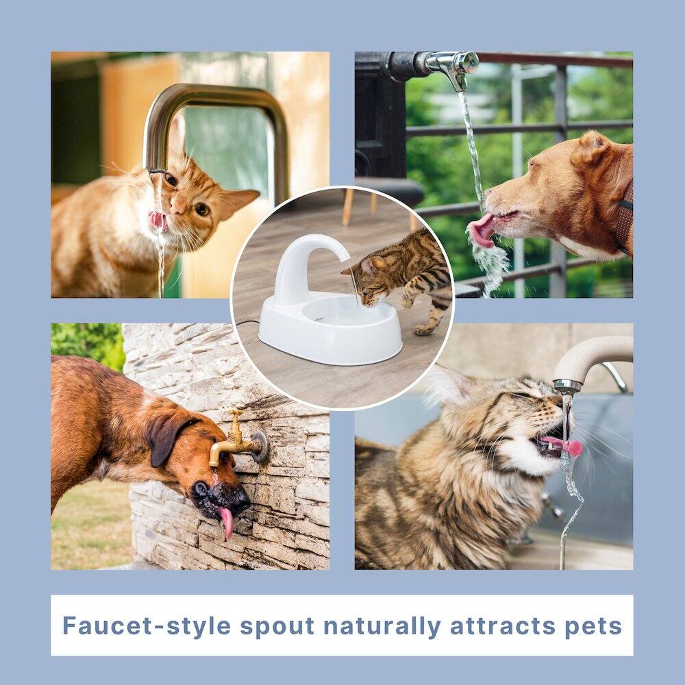 Faucet-style spout naturally attracts pets