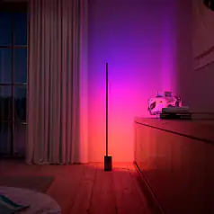 Floor Lamps