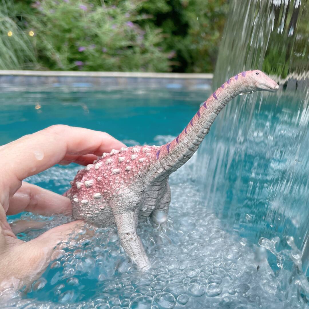 Angle. Safari Ltd. - Saltasaurus.