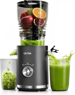 OSTBA - Cold Press Juicer, 300W Slow Masticating Juicer with 5.8" Large Feed Chute for Whole Fruits & Vegetables - sliver
