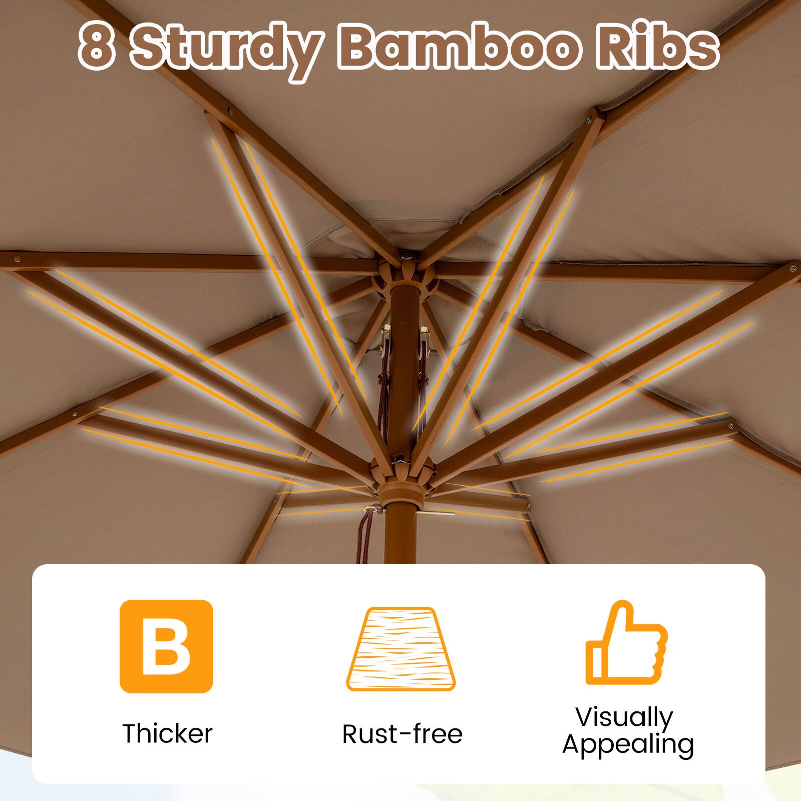 8 Sturdy Bamboo Ribs

- Thicker
- Rust-free
- Visually Appealing