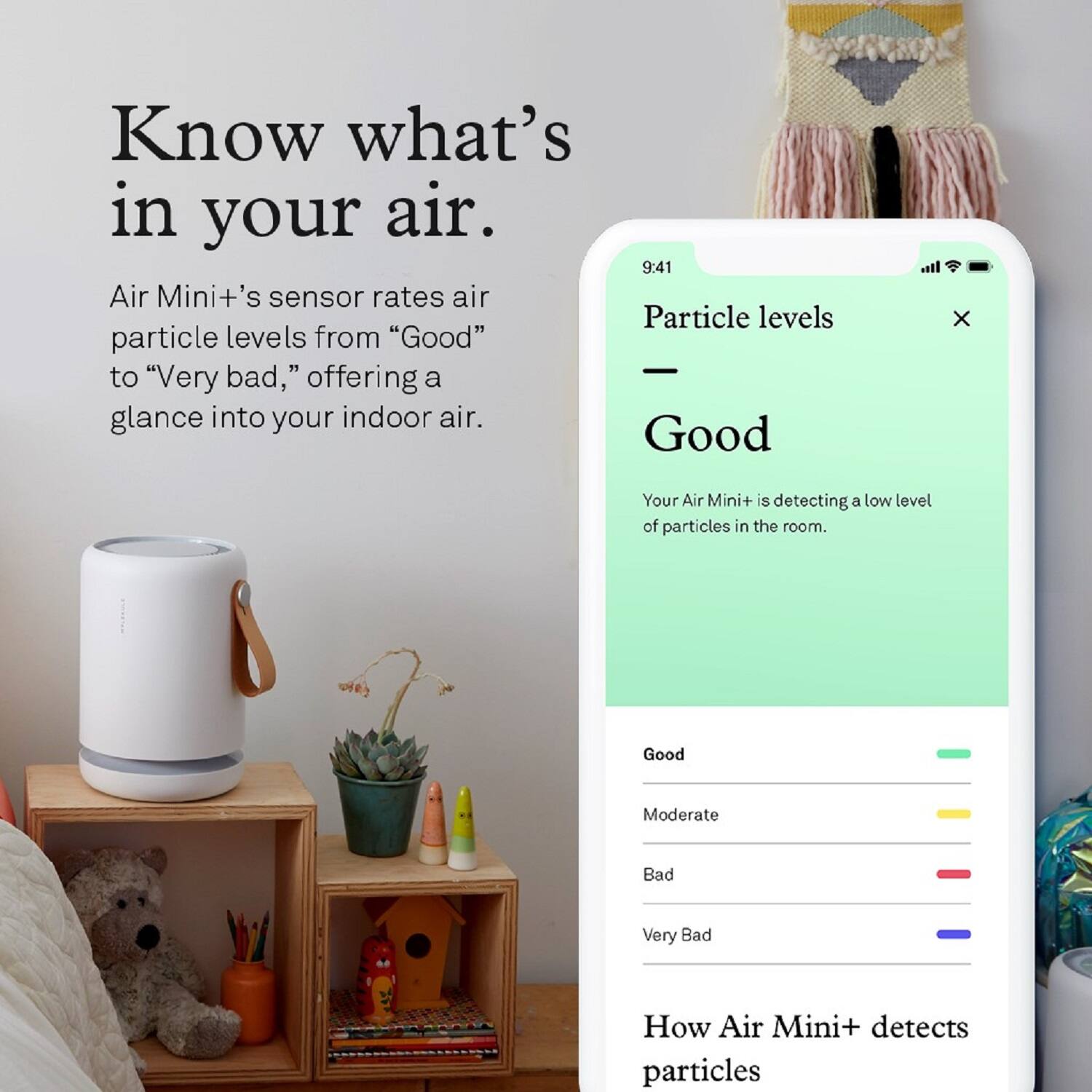 Molekule air best buy discount
