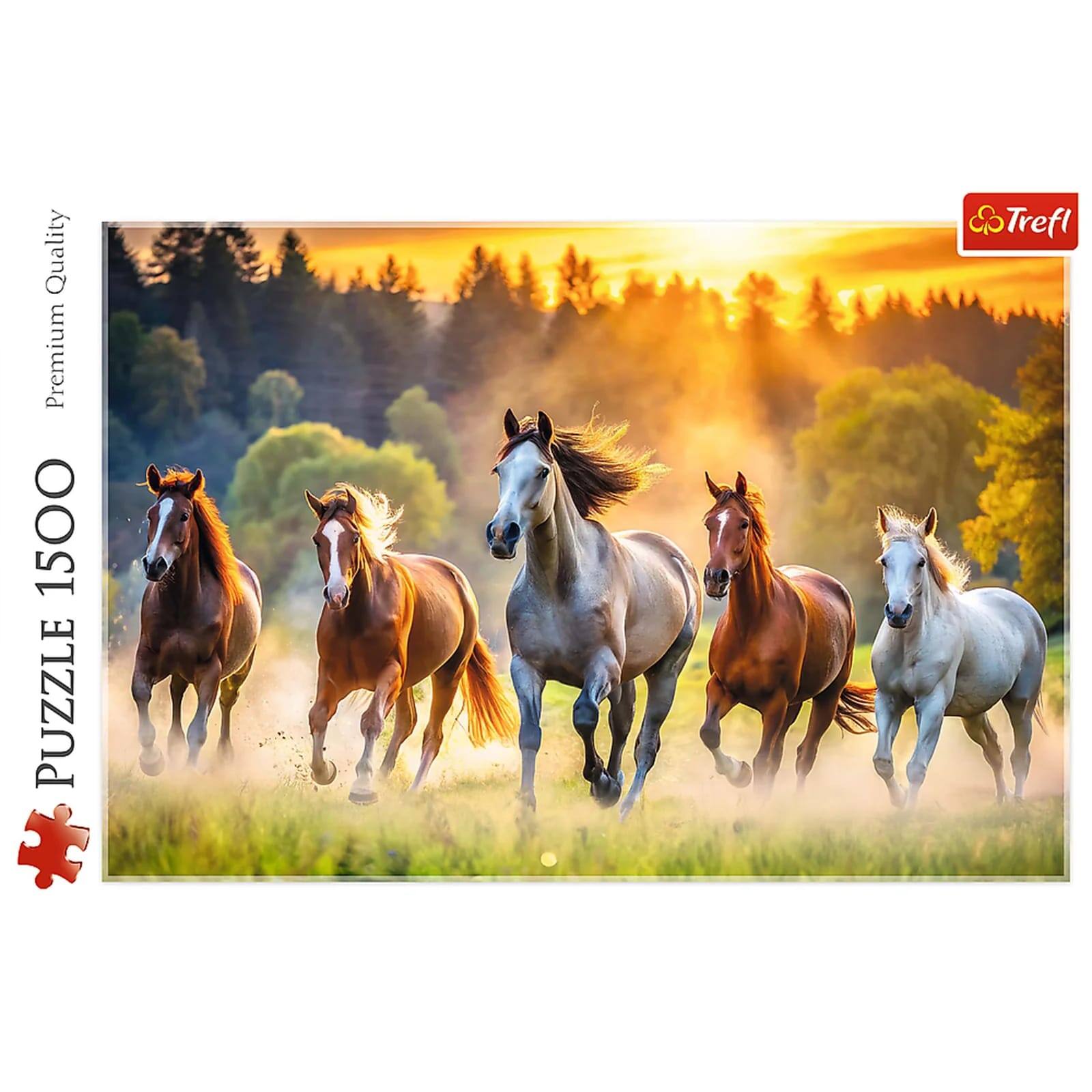 Quality Premium 1500 Puzzle Trefl