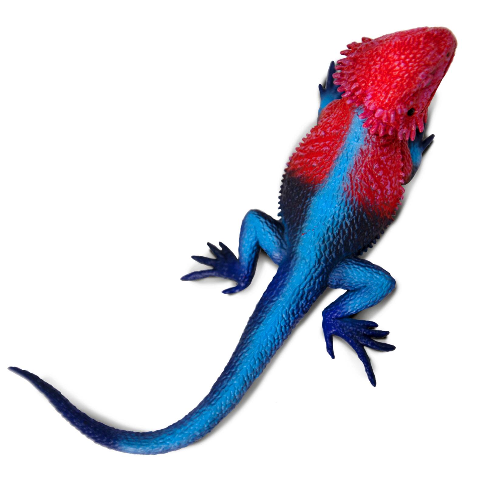 Back. Safari Ltd. - Mwanza Flat-Headed Rock Agama Toy Figurine.