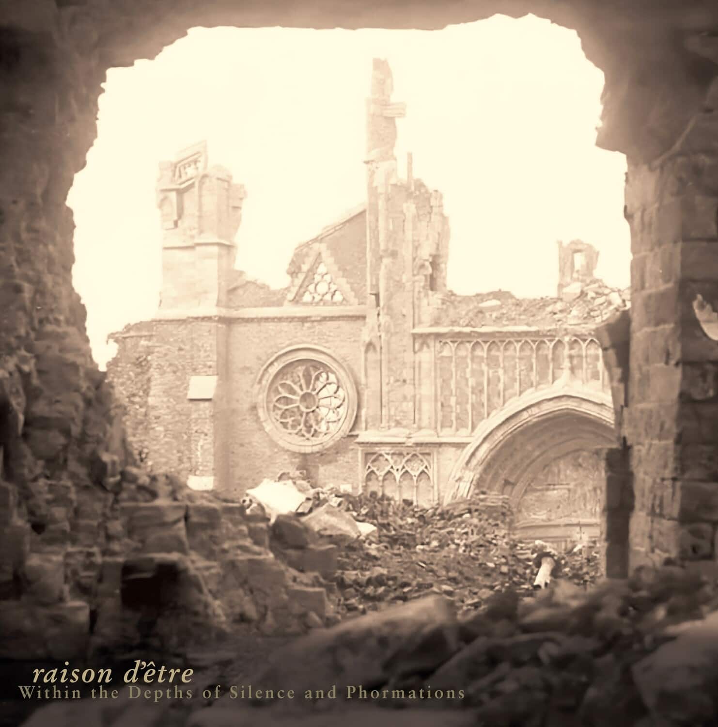 Raison Detre - Within The Depths Of Silence And Phormations  - COMPACT DISCS