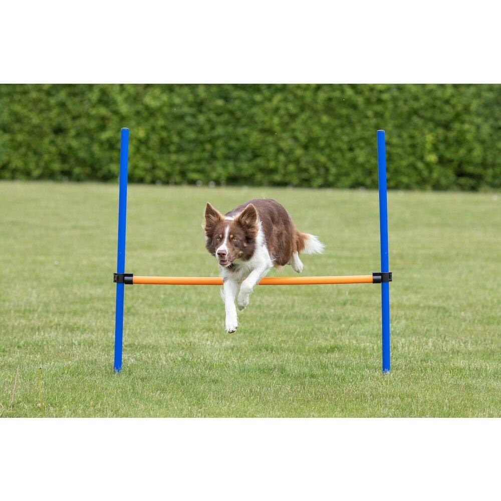 Angle. TRIXIE - Dog Agility Hurdle, Obstacle Training - Blue/Orange.