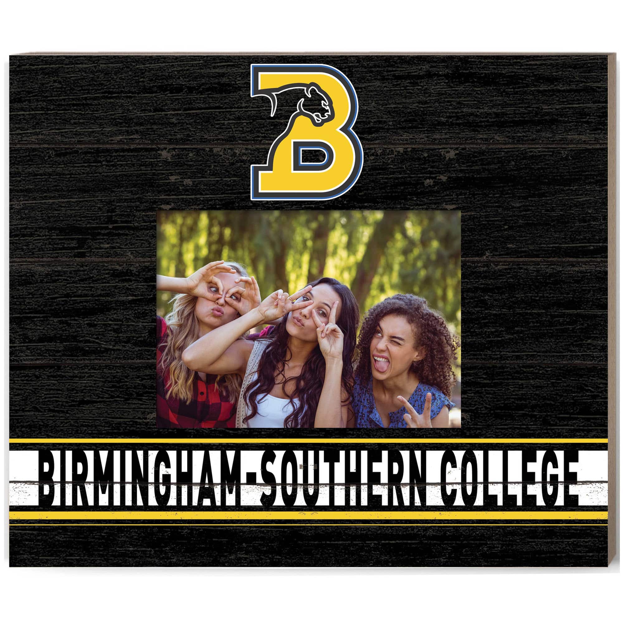 "Jardine - Birmingham-Southern Panthers 11"" x 13"" Team Spirit Scholastic Picture Frame - Black" price history on PriceWatchPro
