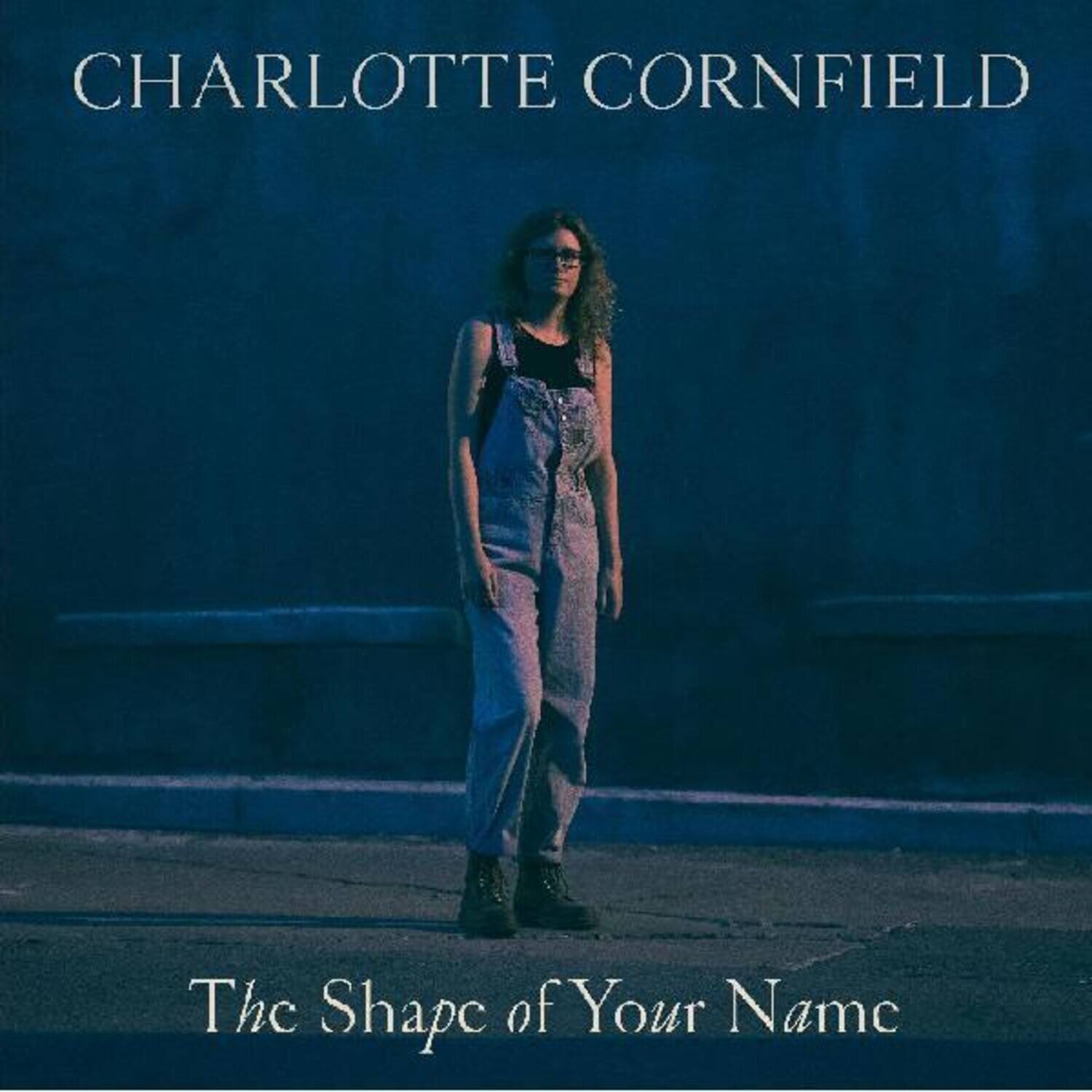 Charlotte Cornfield - The Shape of Your Name   - VINYL LP price history on PriceWatchPro