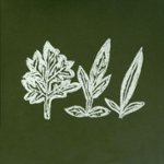 Front Standard. Variations of Weeds [CD].