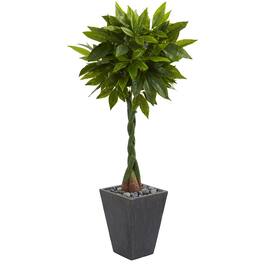 BreeBe - 5' Money Artificial Tree in Slate Planter (Real Touch) - Green