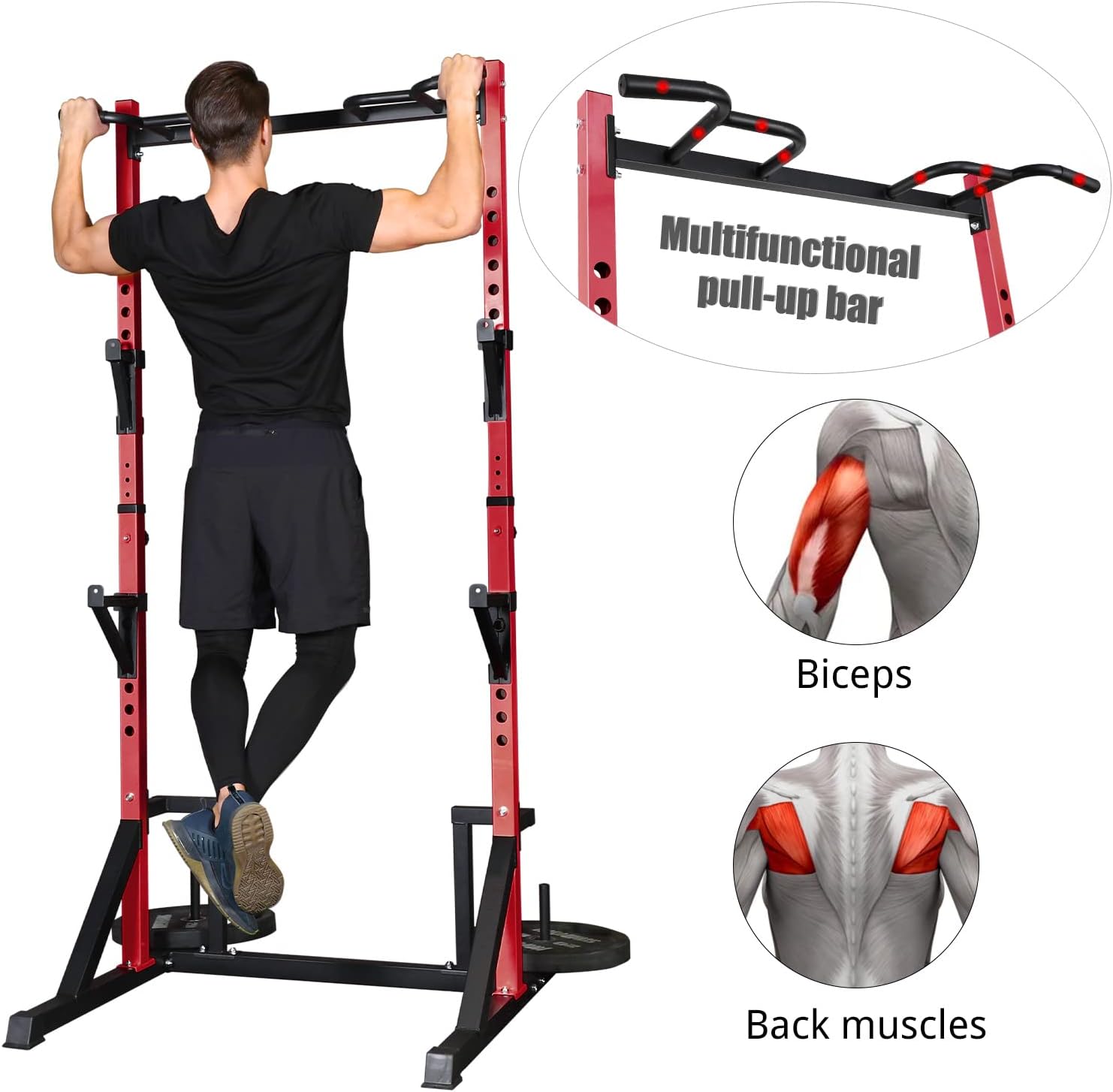 Multifunctional pull-up bar

Biceps

Back muscles