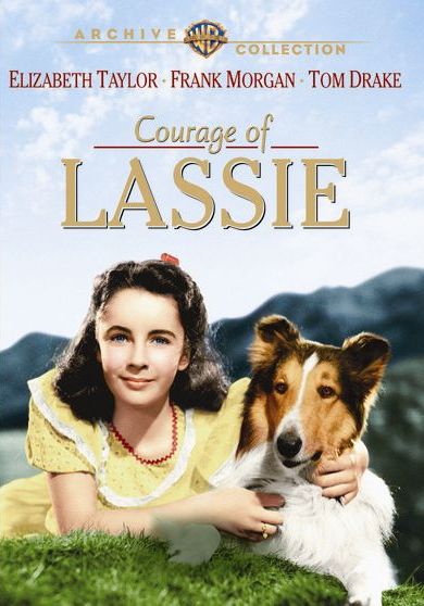 Courage of Lassie [DVD] [1946]