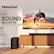 Hisense A TV Sound Booster HS3100