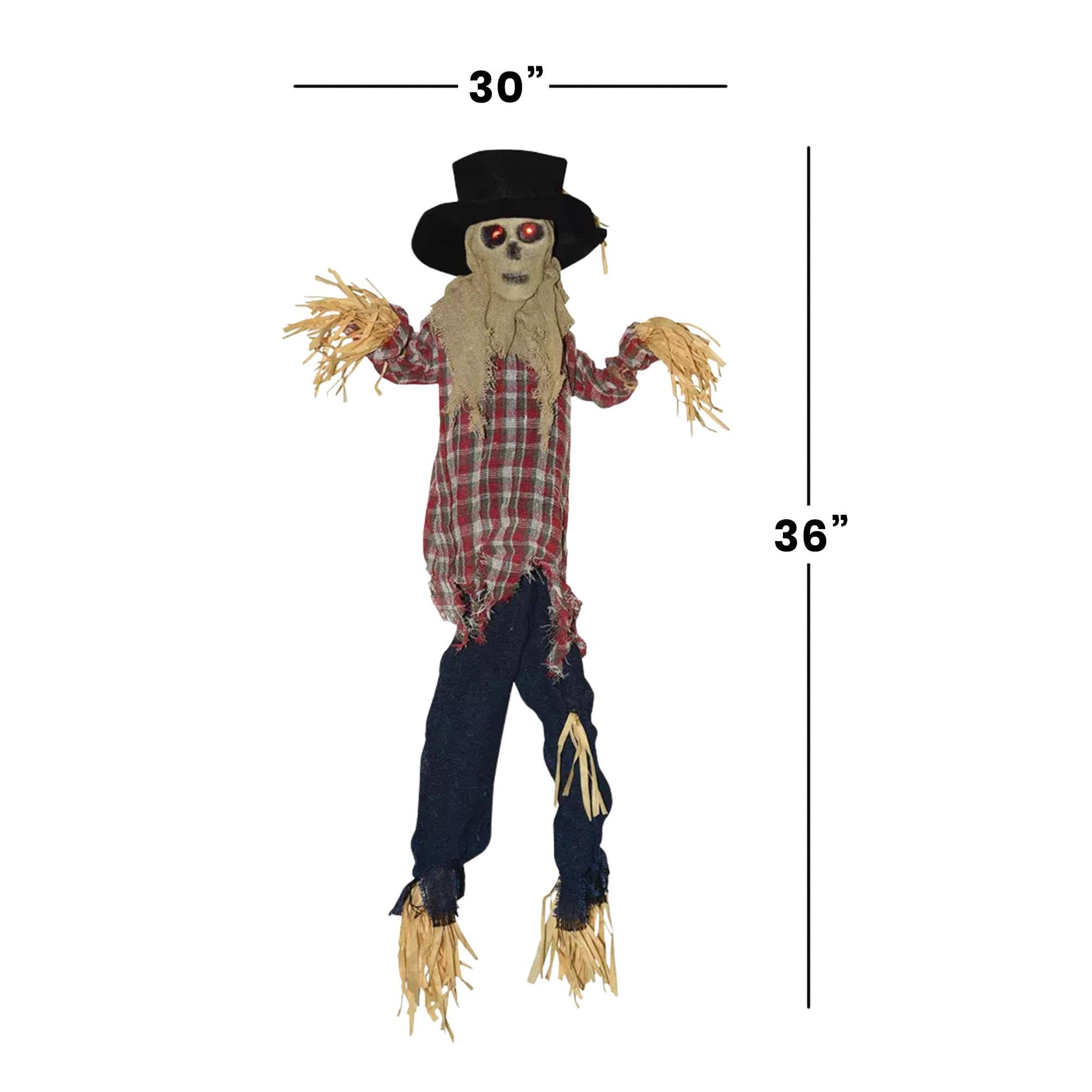 30" 36"