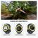 RUGGED GPS SMARTWATCH
NAVIGATION TOOLS
SUPERTOUGH DESIGN
SMARTWATCH FEATURES