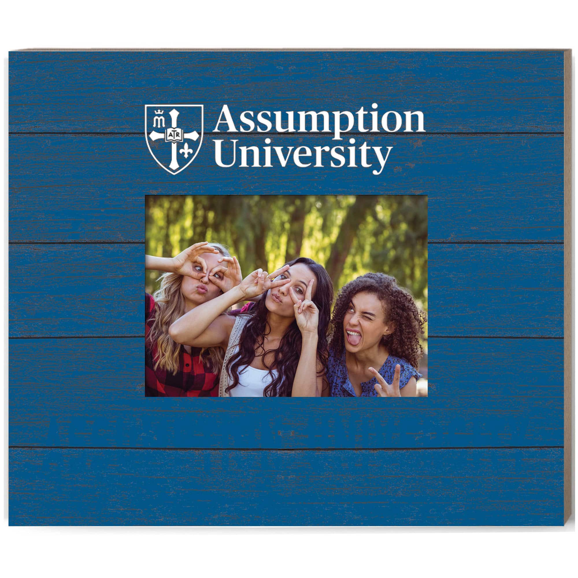 Jardine - Assumption Greyhounds 11'' x 13'' Team Spirit Scholastic Picture Frame - Blue price history on PriceWatchPro